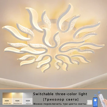 Šiuolaikinių LED miegamojo lubų lempa programą 