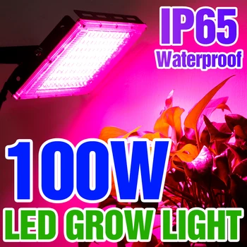 LED Phytolamp Visą Spektrą Augalams Lempa 220V Augimo Šviesos 50W 100W Patalpų Sodinukai, Gėlių Hydroponics LED Fito UV Lempos