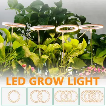 LED Angel Žiedas Auga Šviesos DC5V USB Phytolamp Augalams Led Pilno Spektro Lempa Kambarinių Augalų Sodinukai Namų Gėlių Succulet